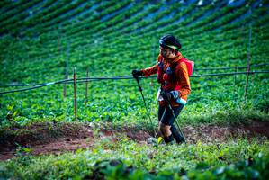 BIB: 
                            <button type="button" onclick="openModal(19160006)" class="btn btn-primary btn-sm float-right btn-popup" data-toggle="modal" data-target=".modal-high-quality">
                        <i class="fas fa-shopping-cart"></i> Add to Cart
                    </button>
                                            <button type="button" onclick="isThisMe(19160006, true)" class="btn btn-success btn-sm float-right btn-popup btn-isme hidden" data-toggle="tooltip" data-placement="bottom" title="นี่คือรูปของคุณใช่ไหม คลิกที่นี่เพื่อเอาเข้าอัลบั้ม">
                        <i class="fas fa-plus"></i> Add to album
                    </button>
                    <button type="button" onclick="isThisMe(19160006, false)" class="btn btn-warning btn-sm float-right btn-popup btn-isnotme hidden">
                        <i class="fas fa-ban"></i> Remove from album
                    </button>